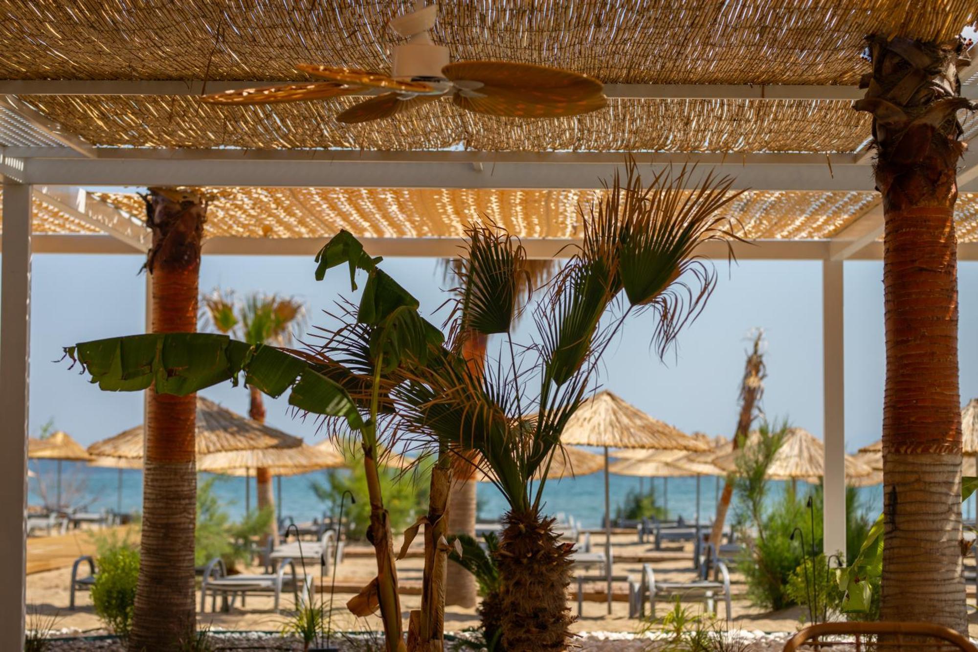 Sea Ayvalik
